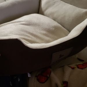 Bed for dog/cat